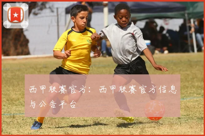 西甲联赛官方：西甲联赛官方信息与公告平台