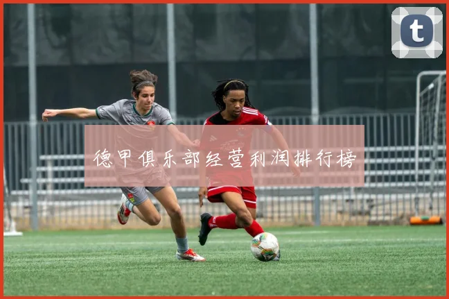 德甲俱乐部经营利润排行榜