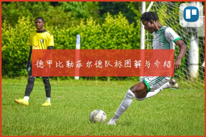 德甲比勒菲尔德队标图解与介绍