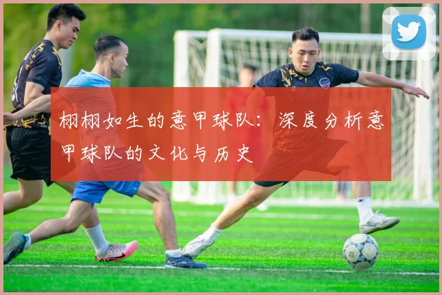 栩栩如生的意甲球队：深度分析意甲球队的文化与历史