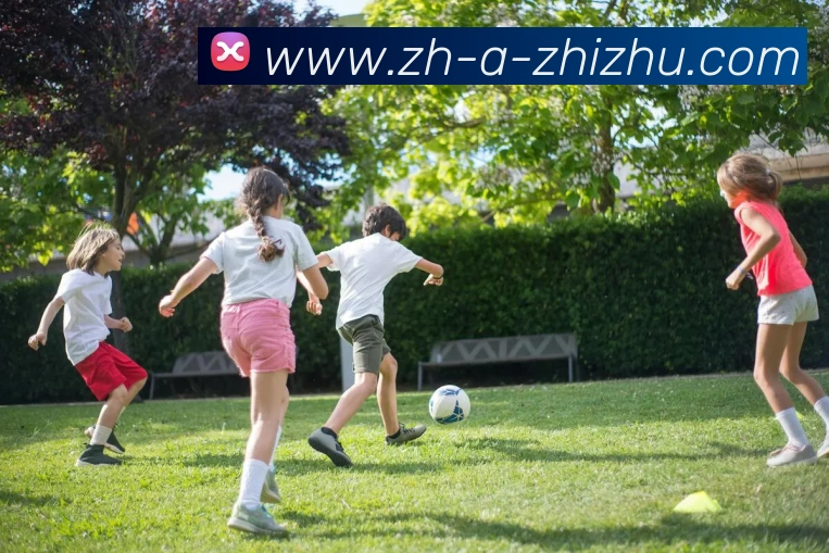 蜘蛛直播品牌故事