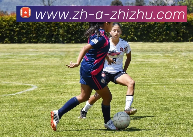 蜘蛛直播服务体系